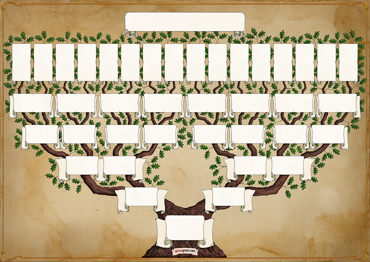 Dubová šestigenerační