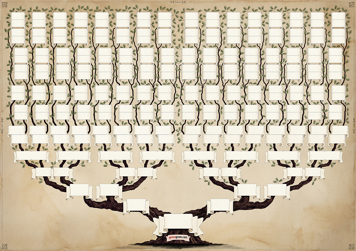 Dubový osmigenerační