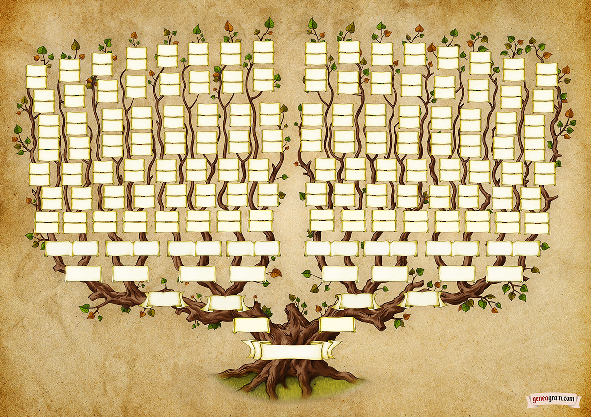 Lipový osmigenerační