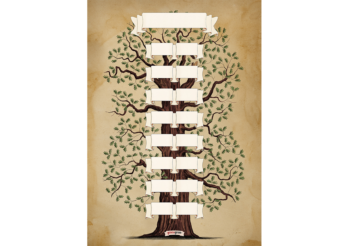 Přímá linie - dubová